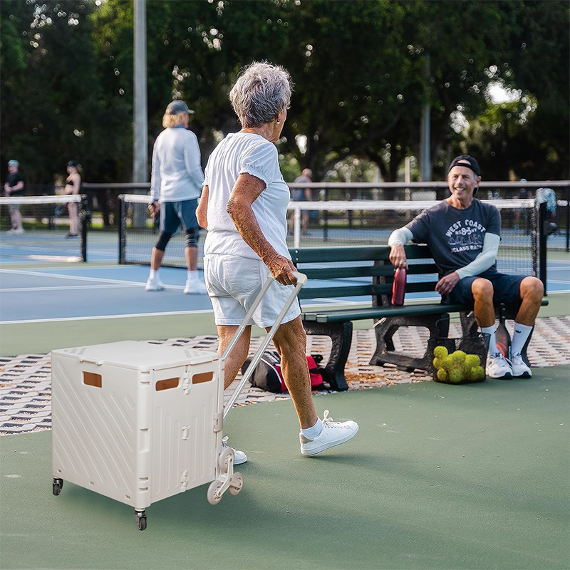 Leichter, gebürsteter Trolley, – Pull Cart Fold Bewertung und Preis