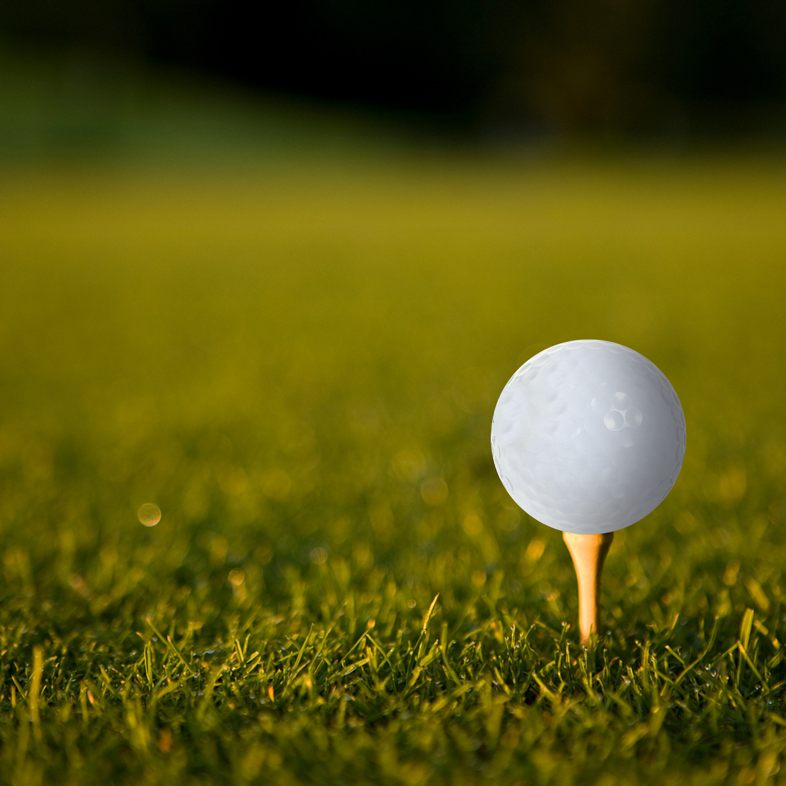 Golfbälle für den Innenbereich – Golf Equipment For Beginners Bewertung und Preis